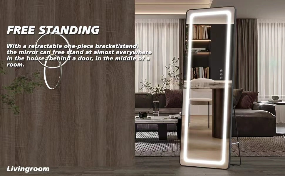 Full Length Mirror with Lights Stand Full Body Dressing Mirror